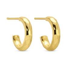 Load image into Gallery viewer, Graduating Textured Hoops: 2 pairs